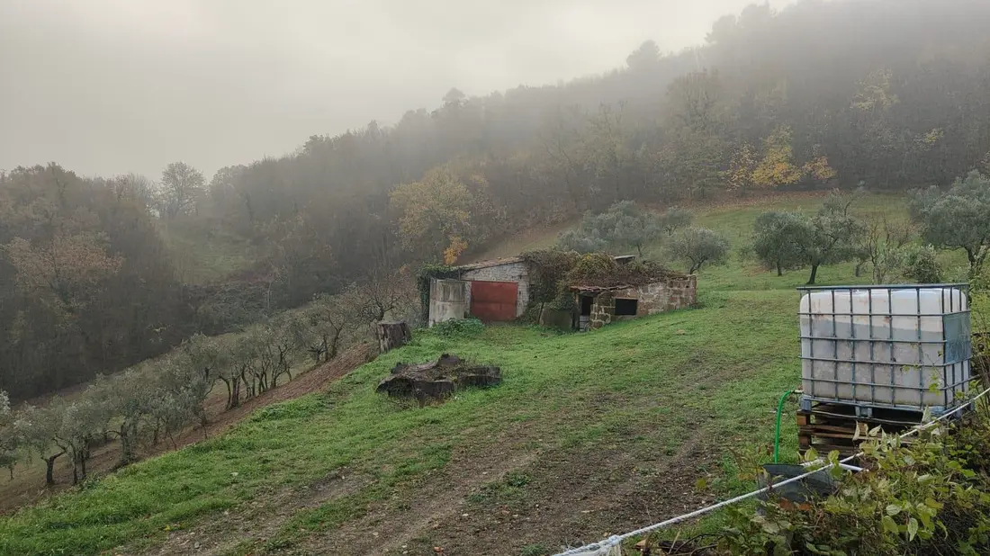 Magazzini E Locali Di Deposito · Configni