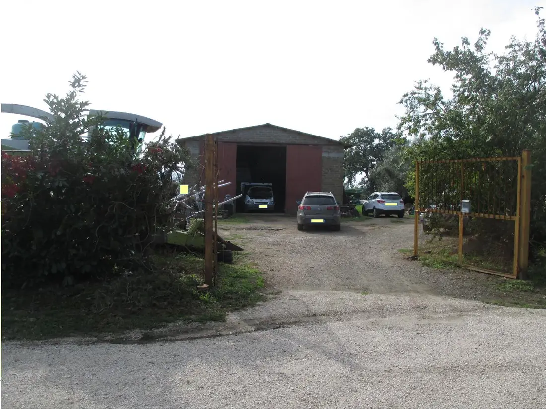Magazzino · Viterbo
