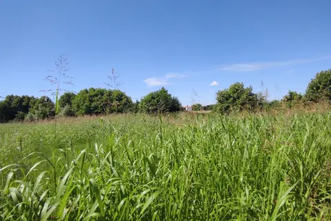 Terreno all'asta a Pojana Maggiore (VI)