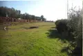 Terreno all'asta a Cerreto Guidi (FI)