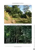 Terreno all'asta a Paesana (CN)