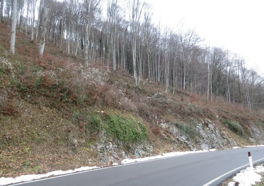 Terreno · Costa Valle Imagna
