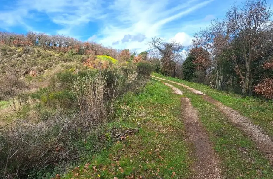 Terreno · Massa Martana
