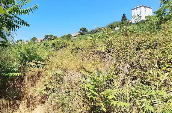 Terreno · Macerata