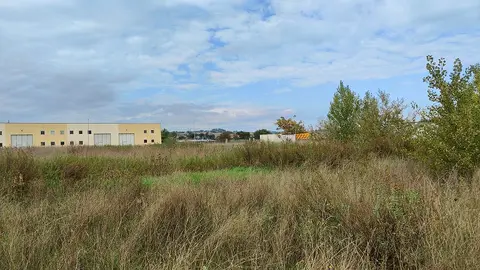 Terreno all'asta a Marsciano (PG)