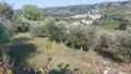 Terreno all'asta a Miglianico (CH)