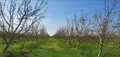Terreno all'asta a Villadose (RO)