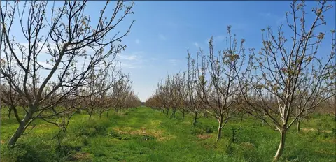 Terreno all'asta a Villadose (RO)