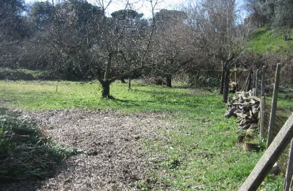 Terreno · Ciampino