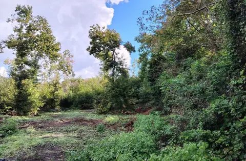 Terreno all'asta a Ariccia (RM)