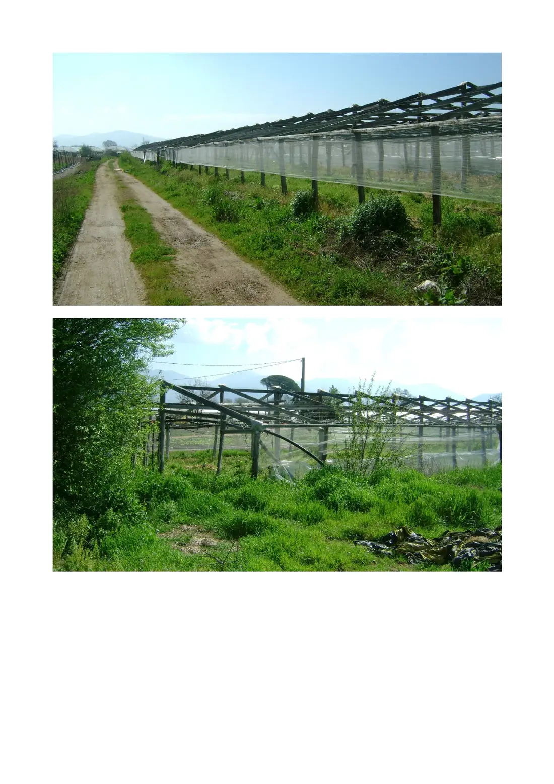 Terreno · Fondi
