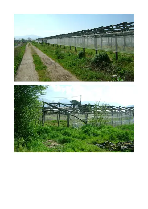 Terreno all'asta a Fondi (LT)