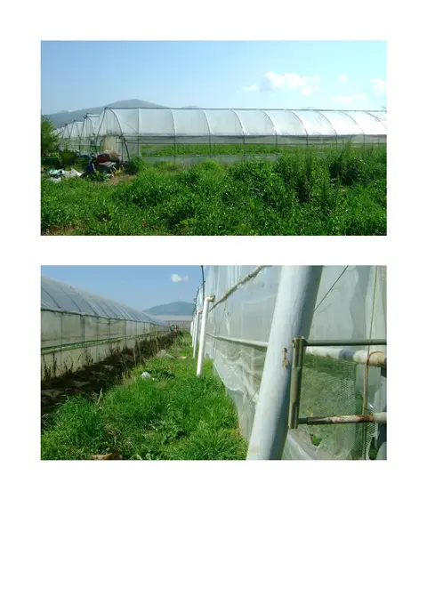 Terreno all'asta a Fondi (LT)