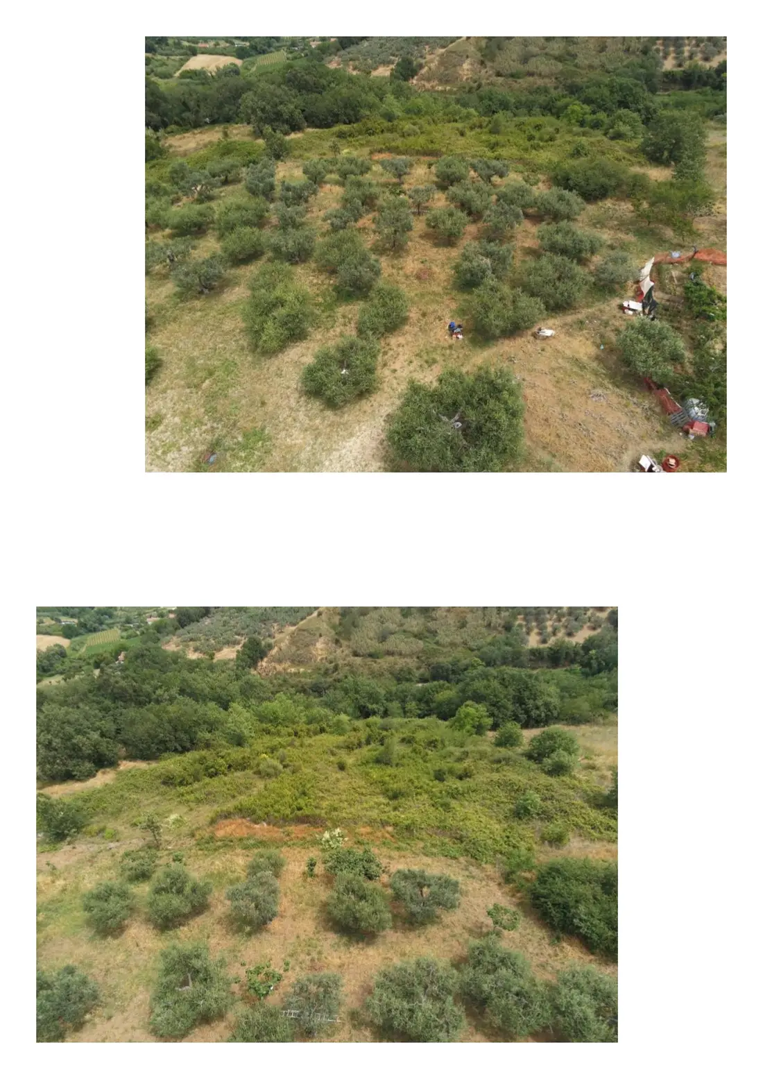 Terreno · Vasto