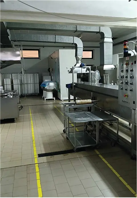 Laboratori Per Arti E Mestieri all'asta a Grosseto (GR)