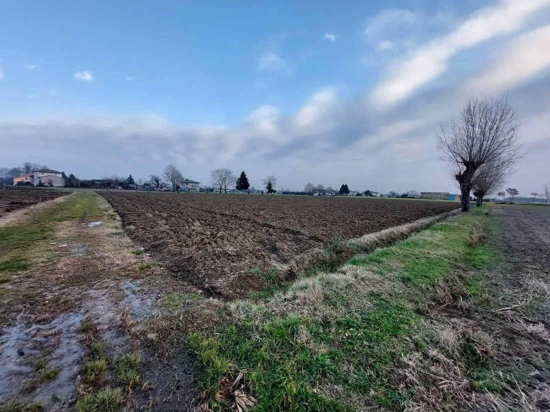 Terreno · Castelfranco Veneto