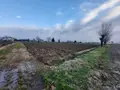Terreno all'asta a Castelfranco Veneto (TV)