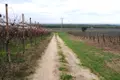 Terreno all'asta a Canosa di Puglia (BT)