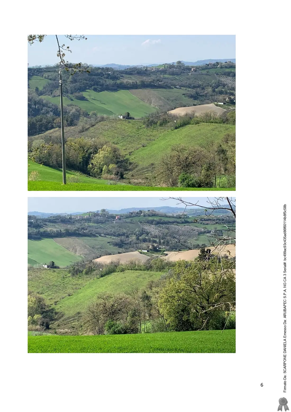 Terreno · Monte Vidon Combatte