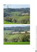 Terreno all'asta a Monte Vidon Combatte (FM)