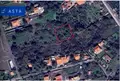 Terreno all'asta a Pedara (CT)