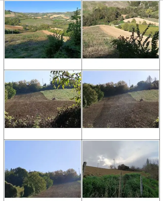 Terreno · Ripatransone