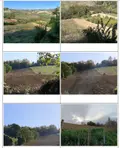 Terreno all'asta a Ripatransone (AP)