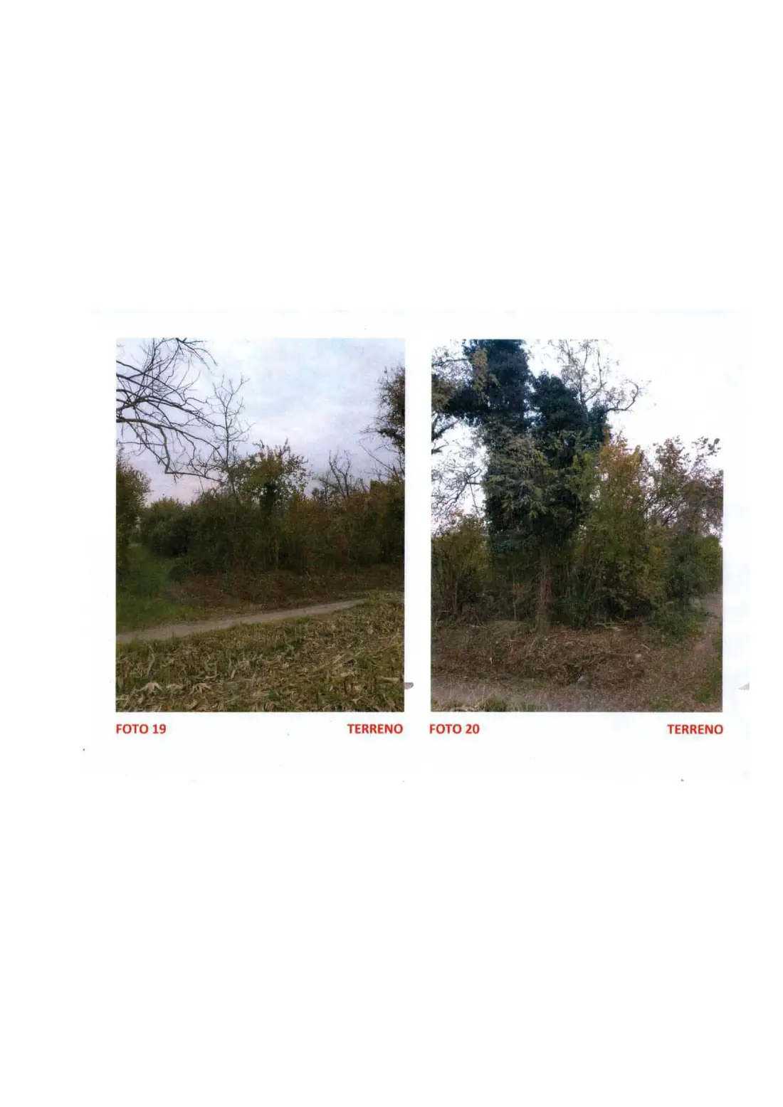 Terreno · San Martino al Tagliamento