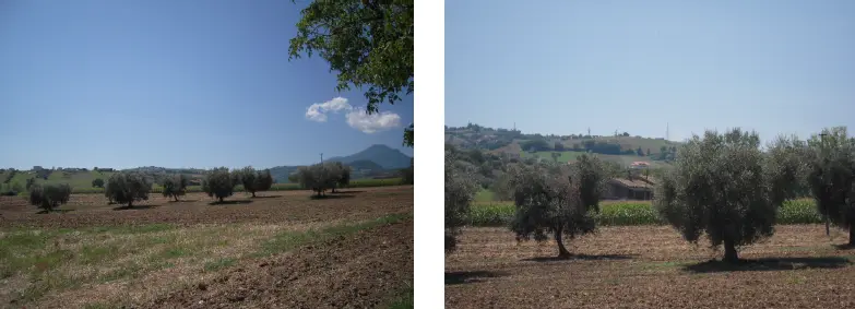 Abitazione Di Tipo Civile · Sant'Omero