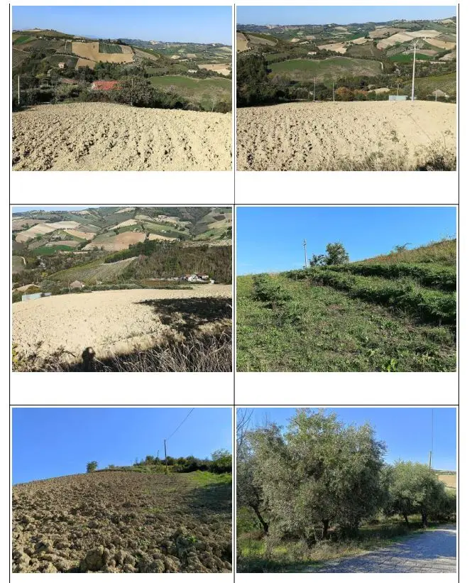 Terreno · Ripatransone