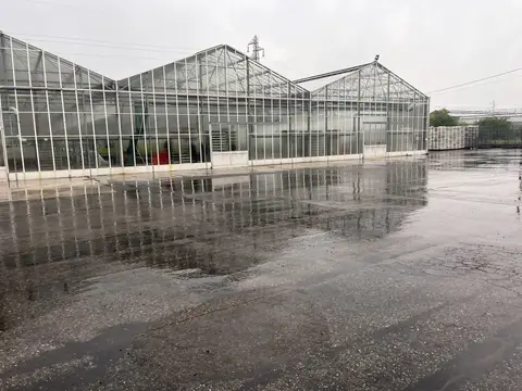 Opifici all'asta a Collecchio (PR)