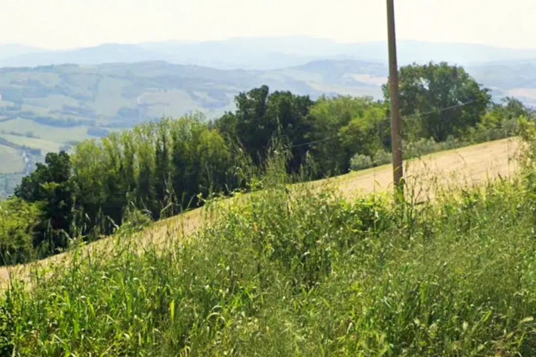 Terreno · Sassocorvaro Auditore