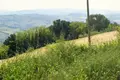 Terreno all'asta a Sassocorvaro Auditore (PU)