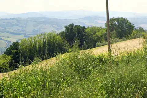 Terreno all'asta a Sassocorvaro Auditore (PU)