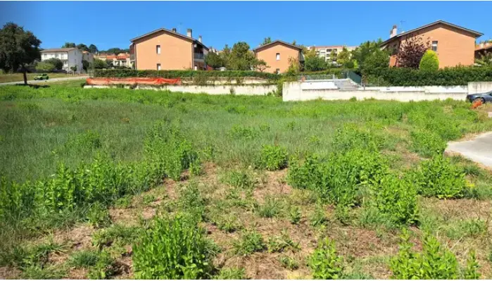 Terreno · Montemarciano