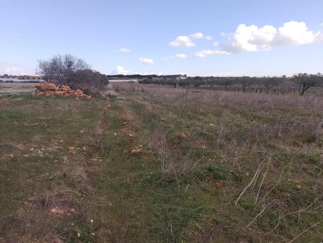 Terreno · Mazara del Vallo