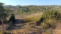 Terreno all'asta