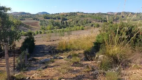 Terreno all'asta