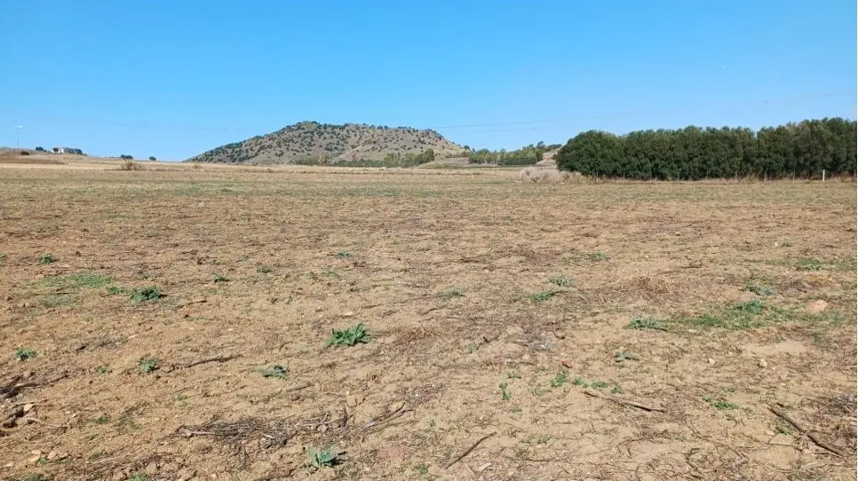 Terreno