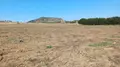 Terreno all'asta