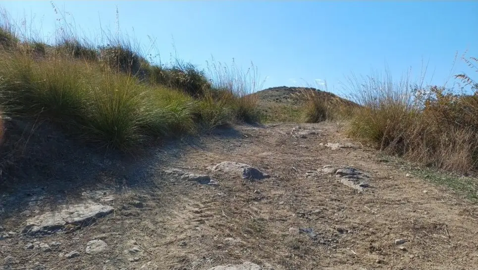 Terreno
