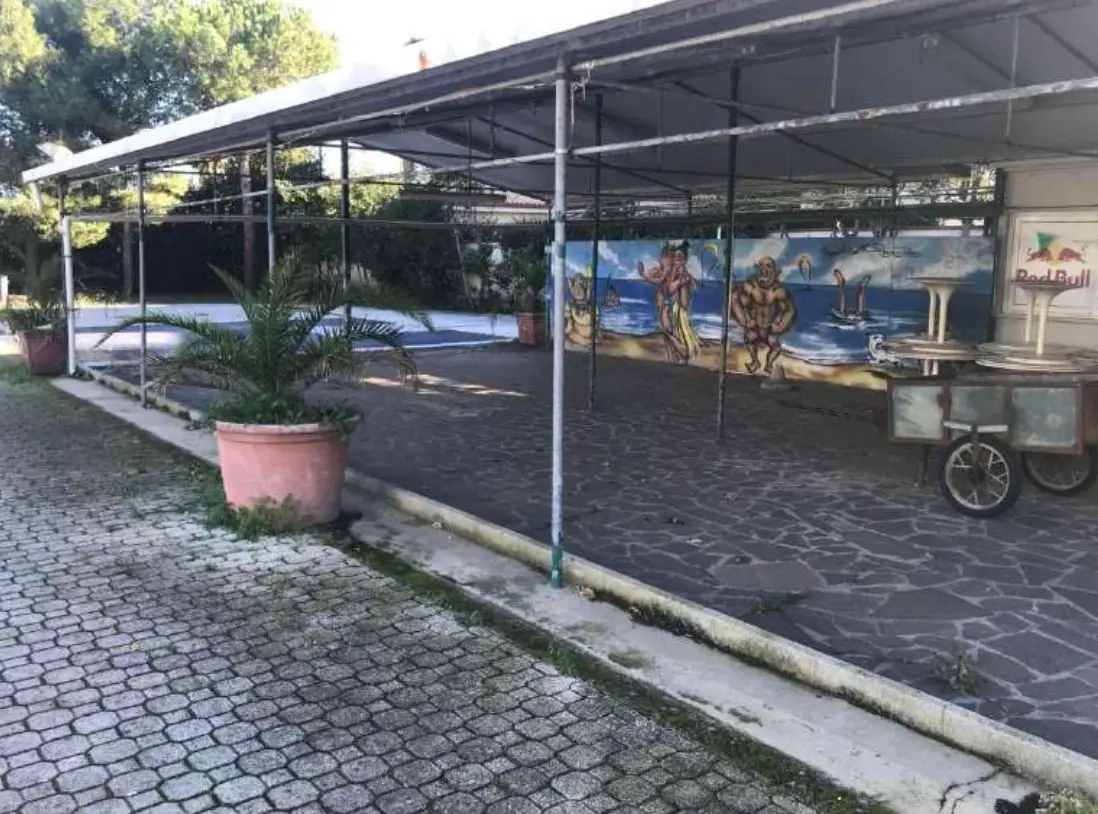 Negozi, Botteghe · Porto Recanati