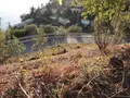 Terreno all'asta a Zoagli (GE)