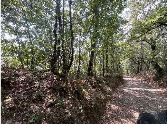 Terreno · Monteleone d'Orvieto