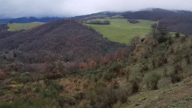 Terreno · San Mauro Forte