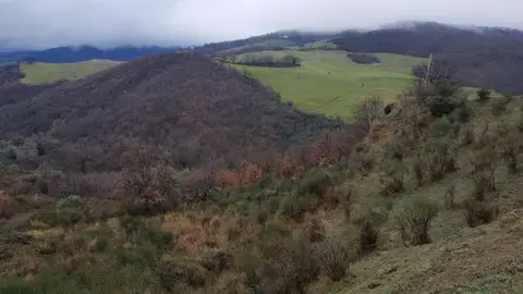 Terreno all'asta a San Mauro Forte (MT)