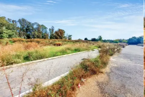 Terreno · Fiumicino