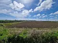 Terreno all'asta a Eboli (SA)