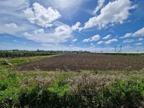 Terreno all'asta a Eboli (SA)