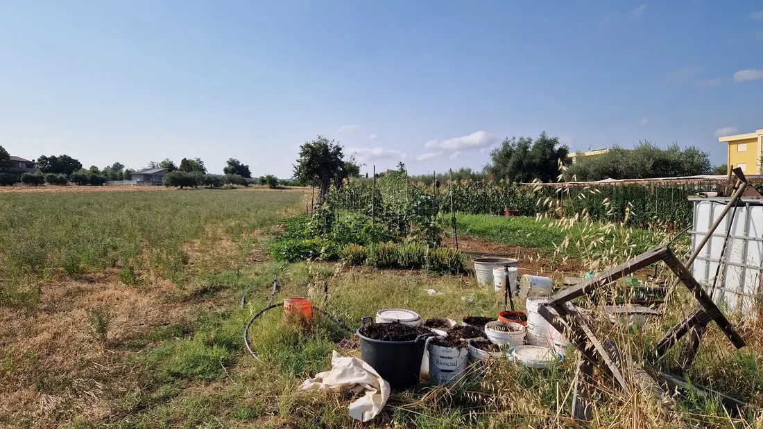 Terreno · Mosciano Sant'Angelo